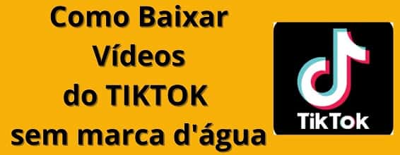 baixar vídeo tiktok pelo site do Snaptik